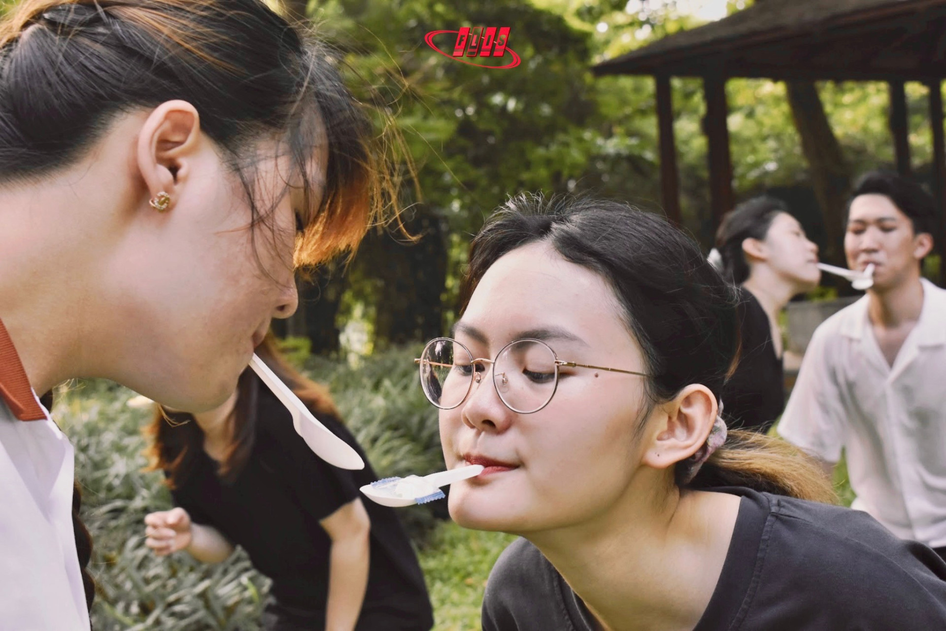 IMG 4546