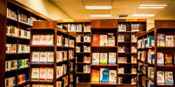 Chuyên gia truyền thông tại các thư viện trường học